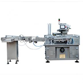 Automatic Carton Box Packing Machine for Bottle